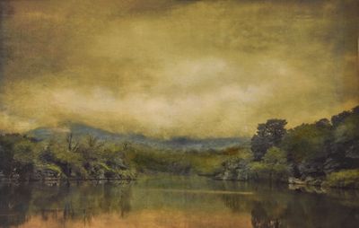 Rice paper print. Beaver Lake