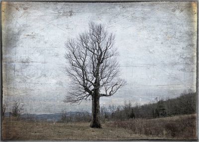 Rice paper print. On Little Bearwallow Mountain.