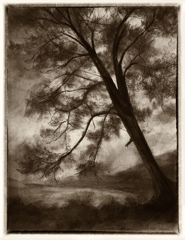 Rice paper print from charcoal drawing. Before She Fell