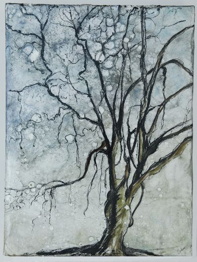 SOLD. Branching Out