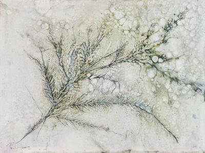 9x12 Encaustic with walnut, india inks and pan pastels. Available. Frost and Bough