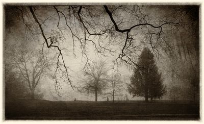 Rice paper print Foggy Morning
