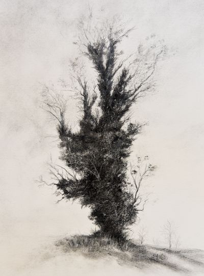 Entanglement