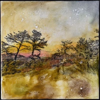 SOLD. Cedar Mountain 2
