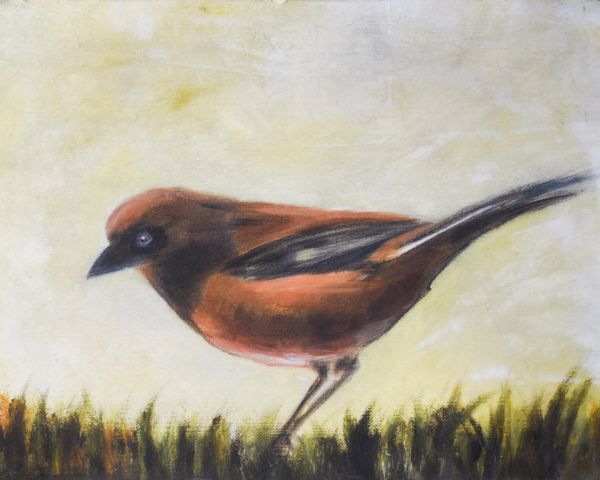 8x10 Cold wax oils, mixed media on cradled panel, framed. 125.00. Available without framing for 100. Shipping not included. Towhee Has Landed