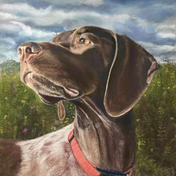 2018 Honorable Mention Appalachian Pastel Society juried exhibit, 2018. Honorable Mention Uart Pastel Paper Co. juried online show. 2019 Richeson award . Pastel Society of Southern CA. 12 x 12 on Uart sanded paper. Field Dog