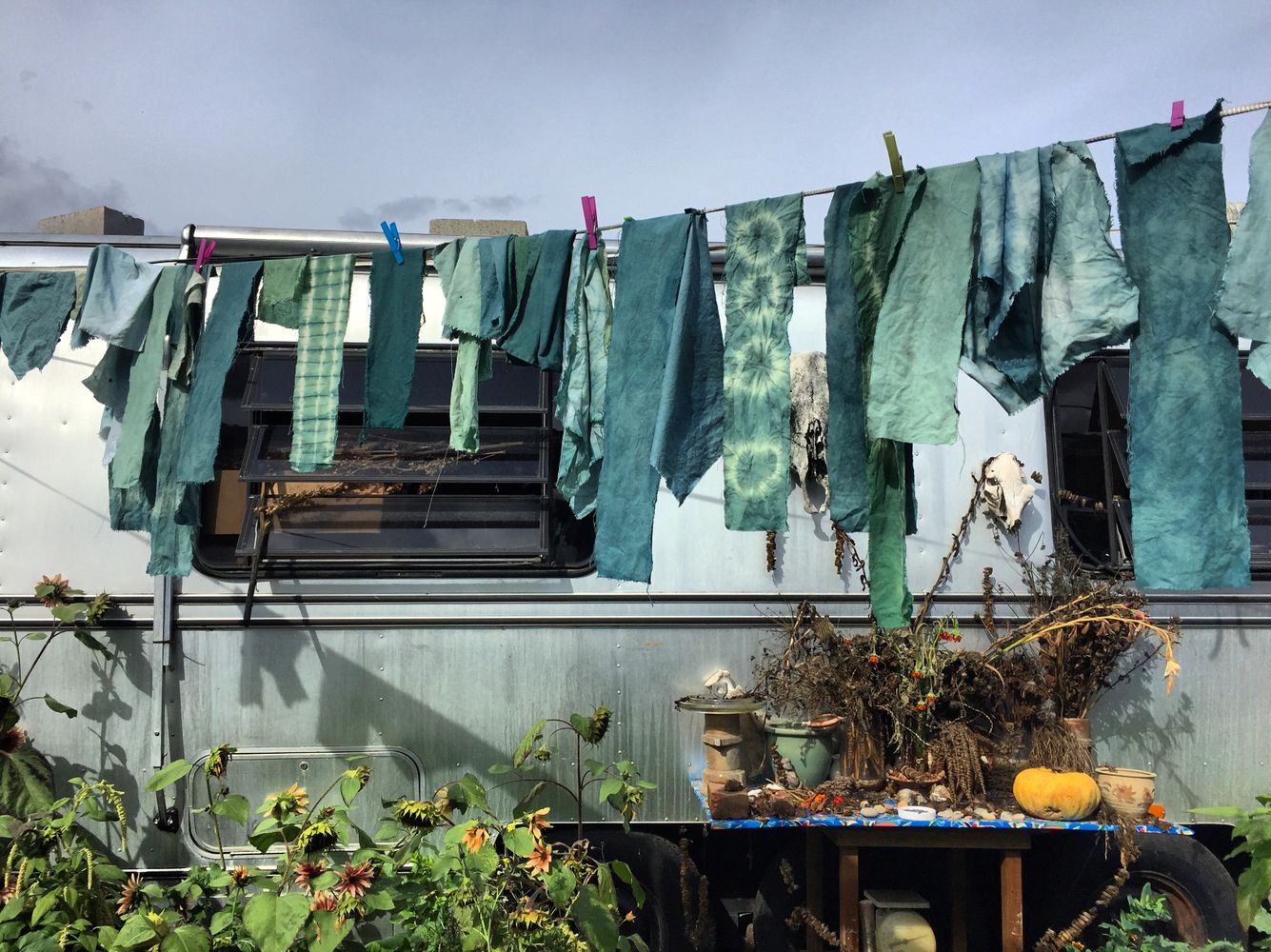 fresh leaf indigo workshop