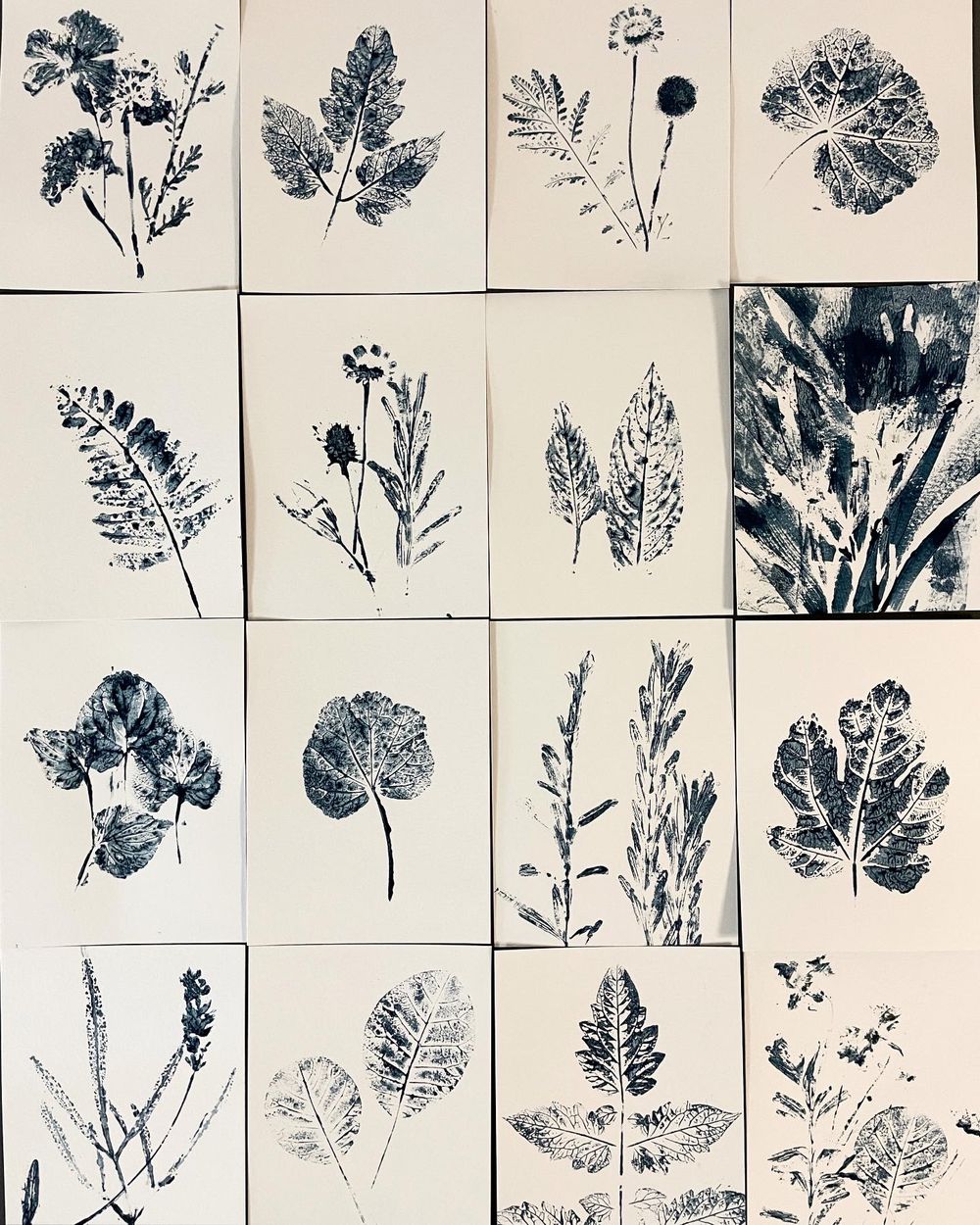 Homegrown indigo botanical prints