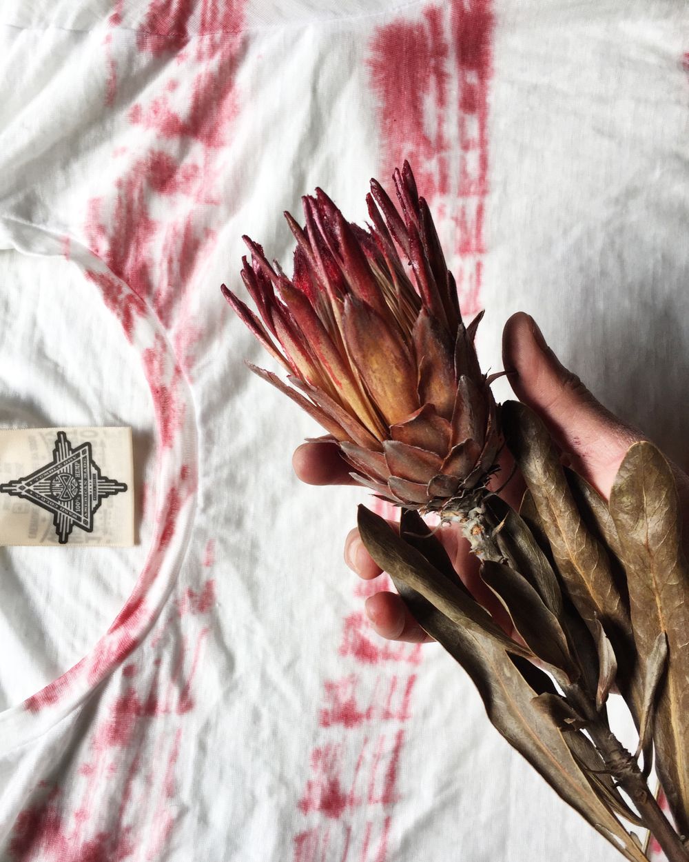 Jungmaven collaboration