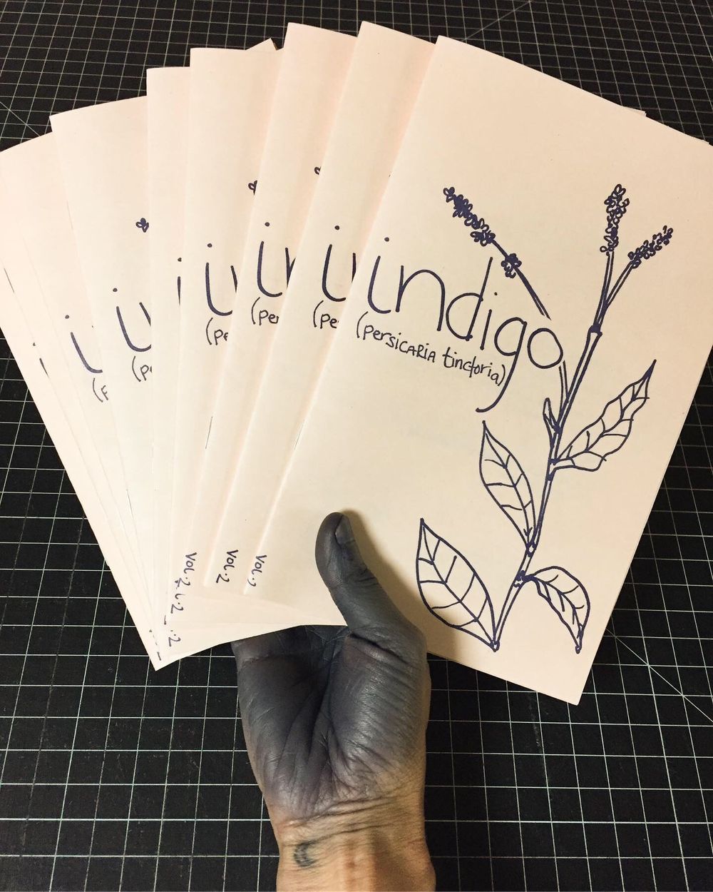 indigo zine