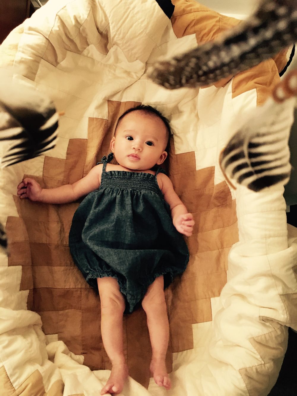 custom log cabin baby quilt