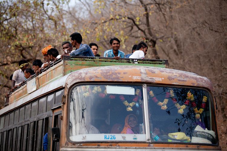 india_ranthambhore_park_bus.jpg
