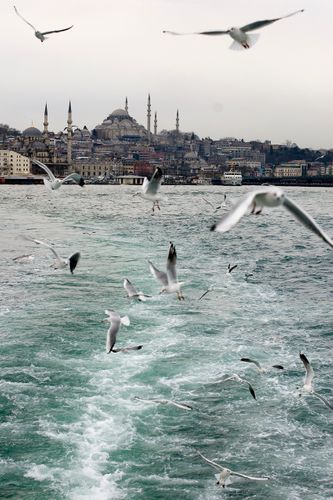 turkey_istanbul_skyline.jpg