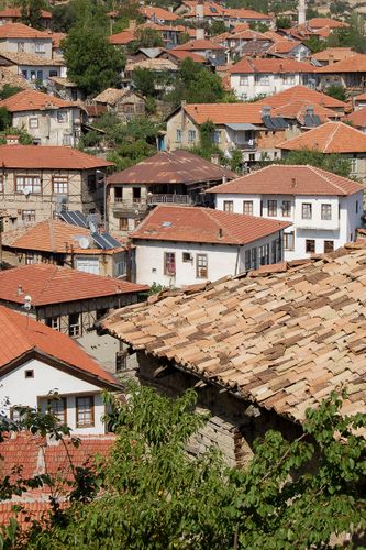 turkey_elmali_village_houses_rooves.jpg