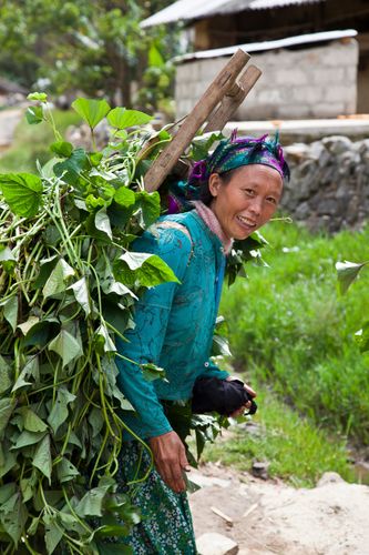 vietnam_hagiang_rural_lady.jpg