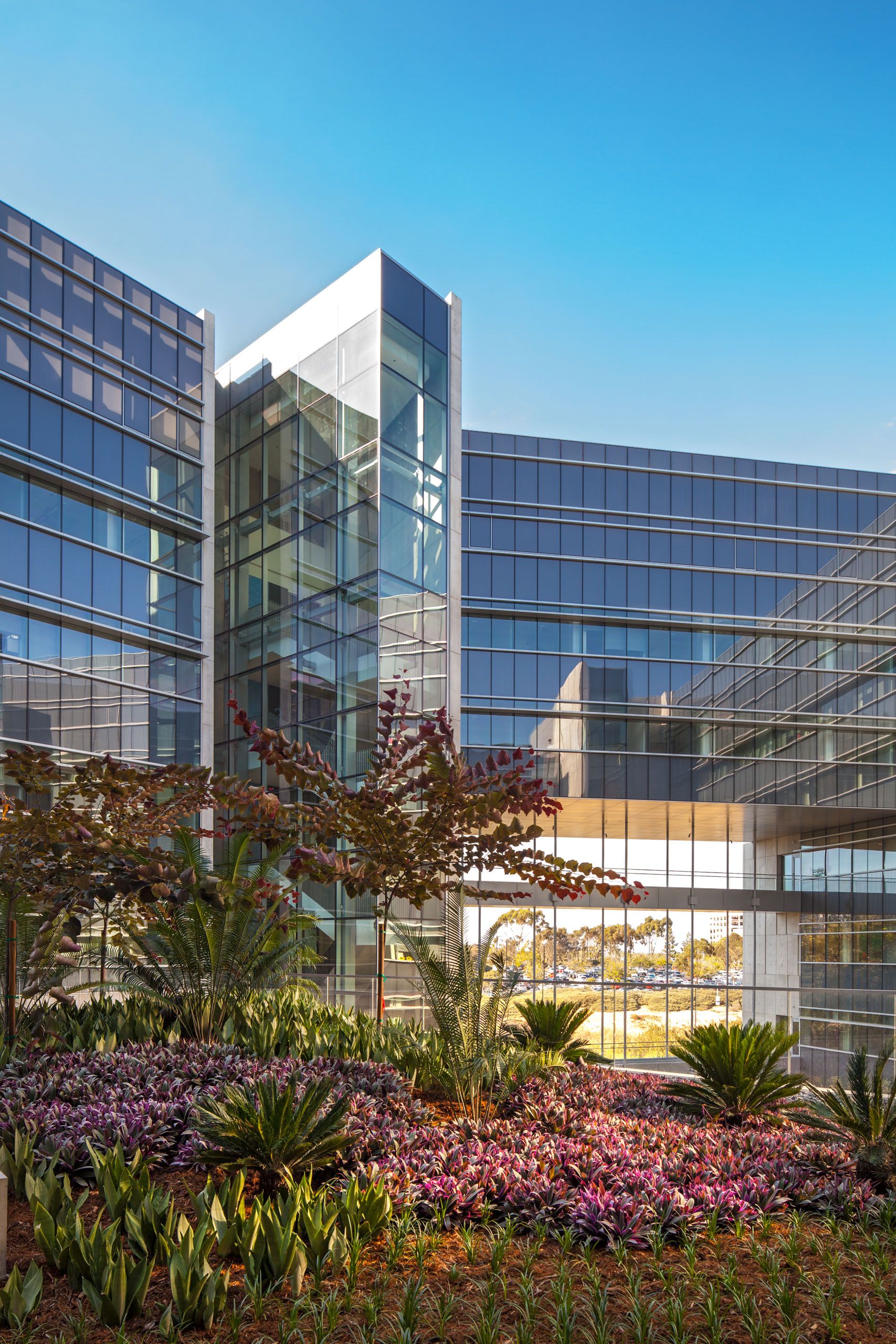 ZGF Altman Clinical and Translational Research Institute