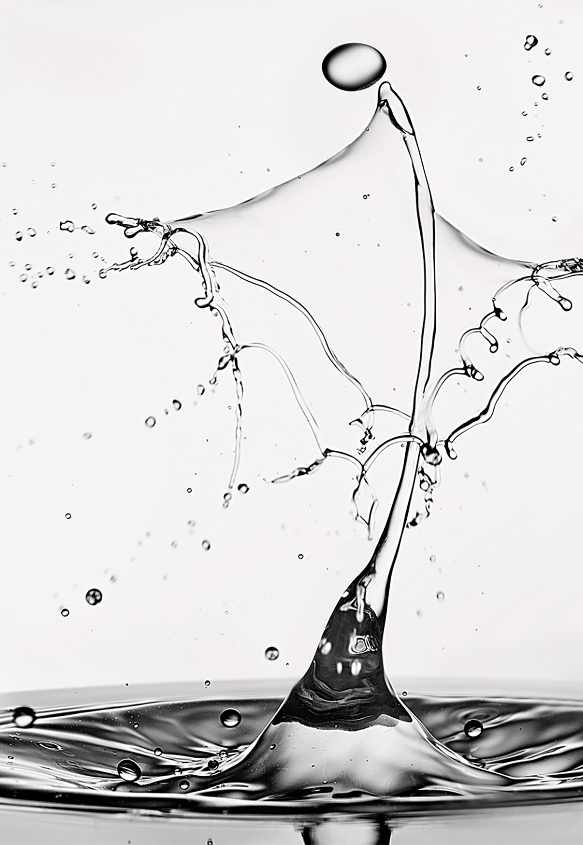 2GTQbgiNxerRr;hoi5gcT6hkjr8dsnb6NBTxXMi2obS copy.jpg