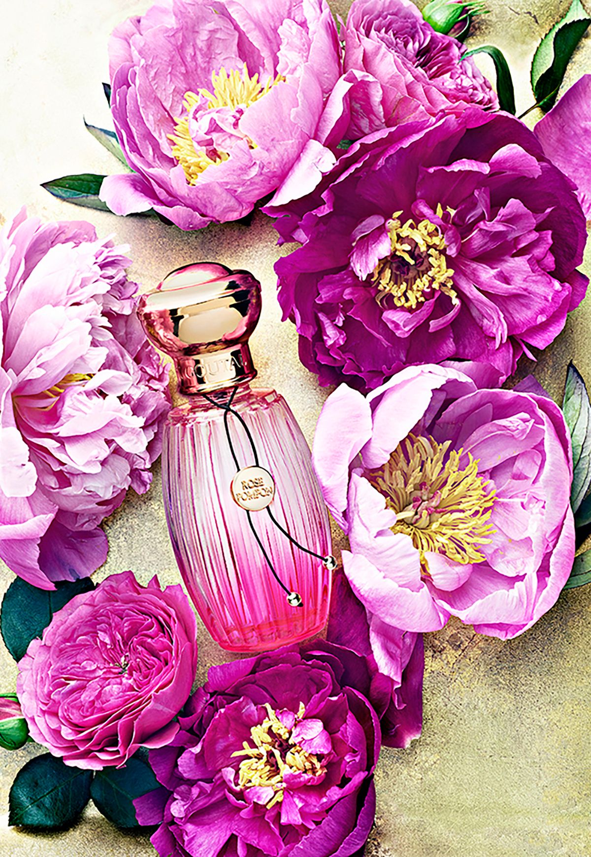 2GTQbgiNxerRr5gcT6hkjr8vdsnb6NBTxXMi2obS-8 copy.jpg