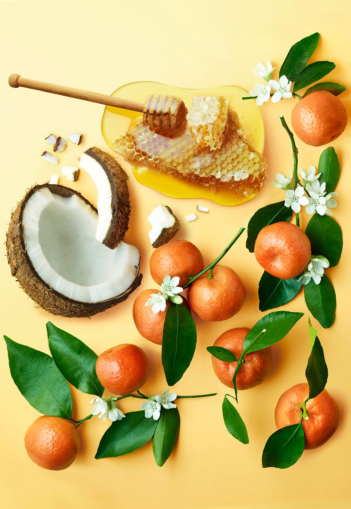 2GTQbgiNxerRr5gcT6hjkjr8dsnb6NBTxXMi2obS-5 copy.jpg