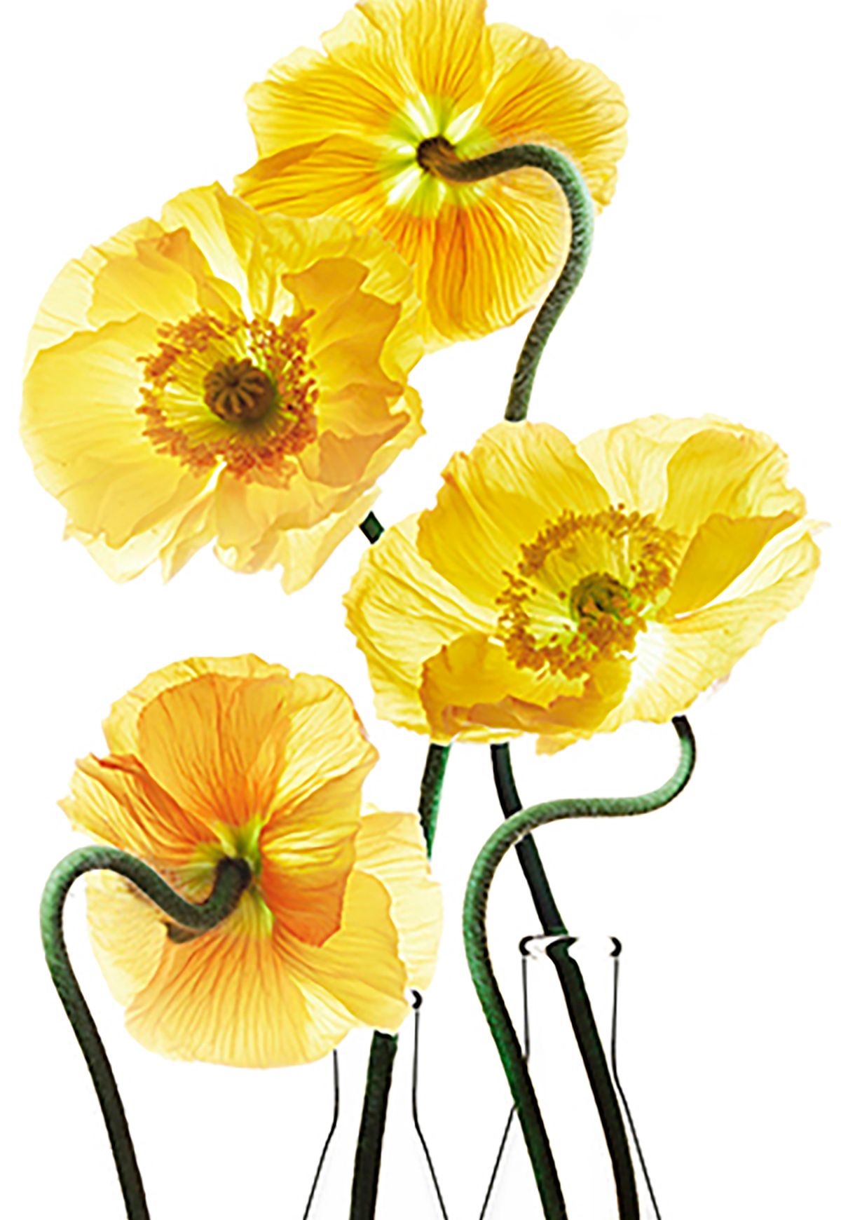 2GTQbgiNxerRrryh5gcT6hkjr8dsnb6NBTxXMi2obS-1 copy.jpg