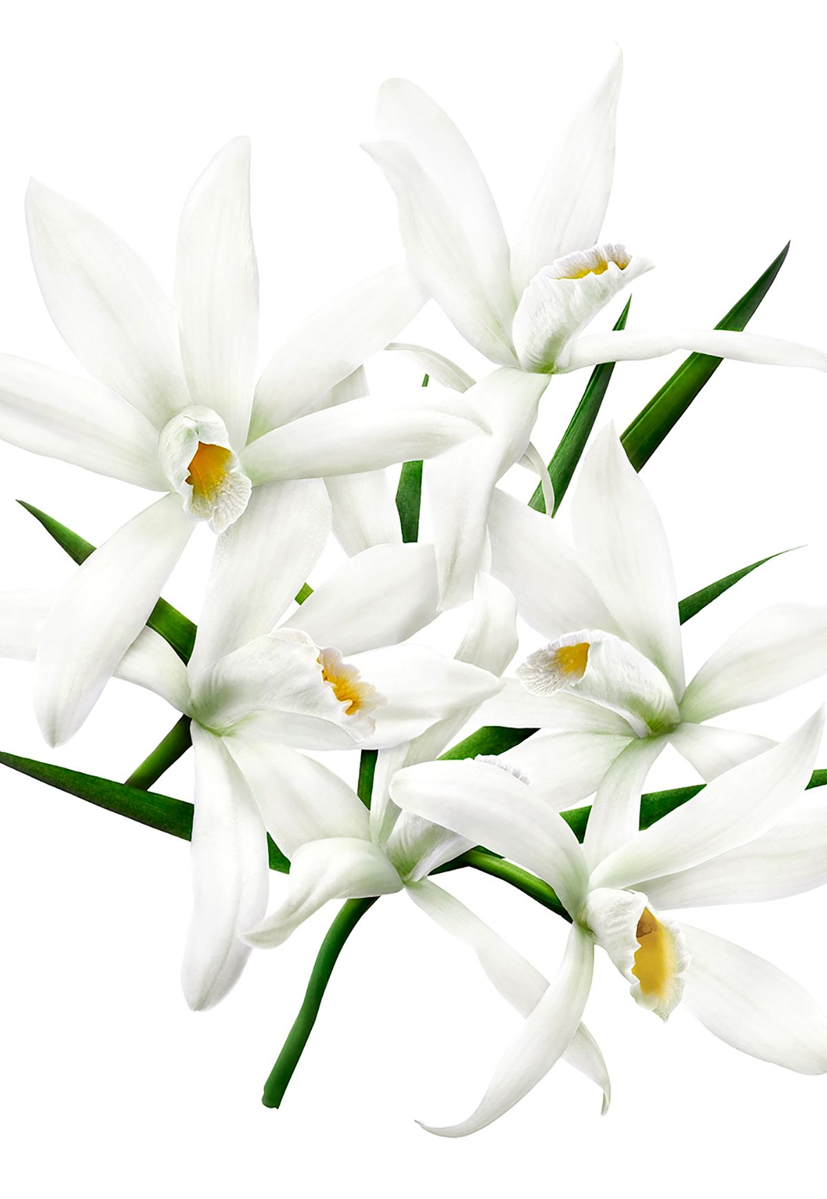 2GTQbgiNxerRr5gcT6hkjggr8dsnb6NBTxXMi2obS copy.jpg