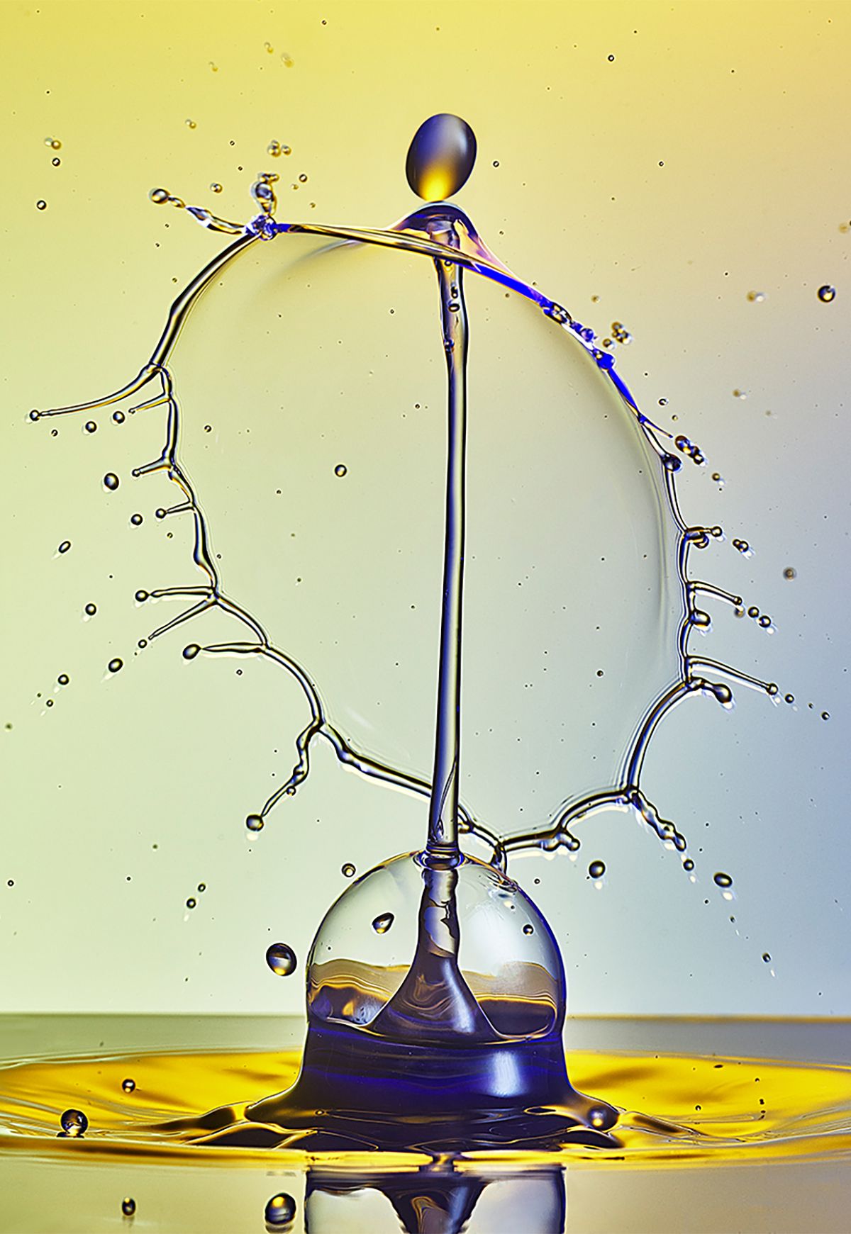 2GTQbgiNxerRr5gcT6hkjr8dsnb6NBTxXMi2obS-2 copy.jpg