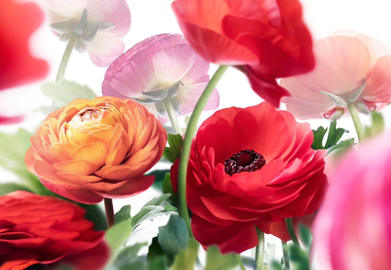 2GTQbgiNxerRr5grgcT6hkjr8dsnb6NBTxXMi2obS-7 copy.jpg