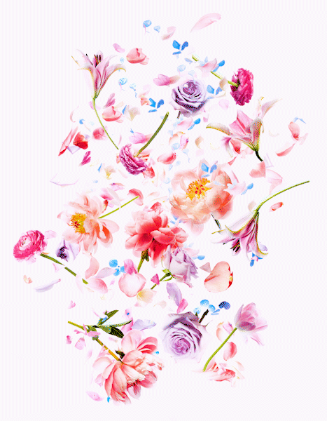 spring_flower_ani_04_1.gif
