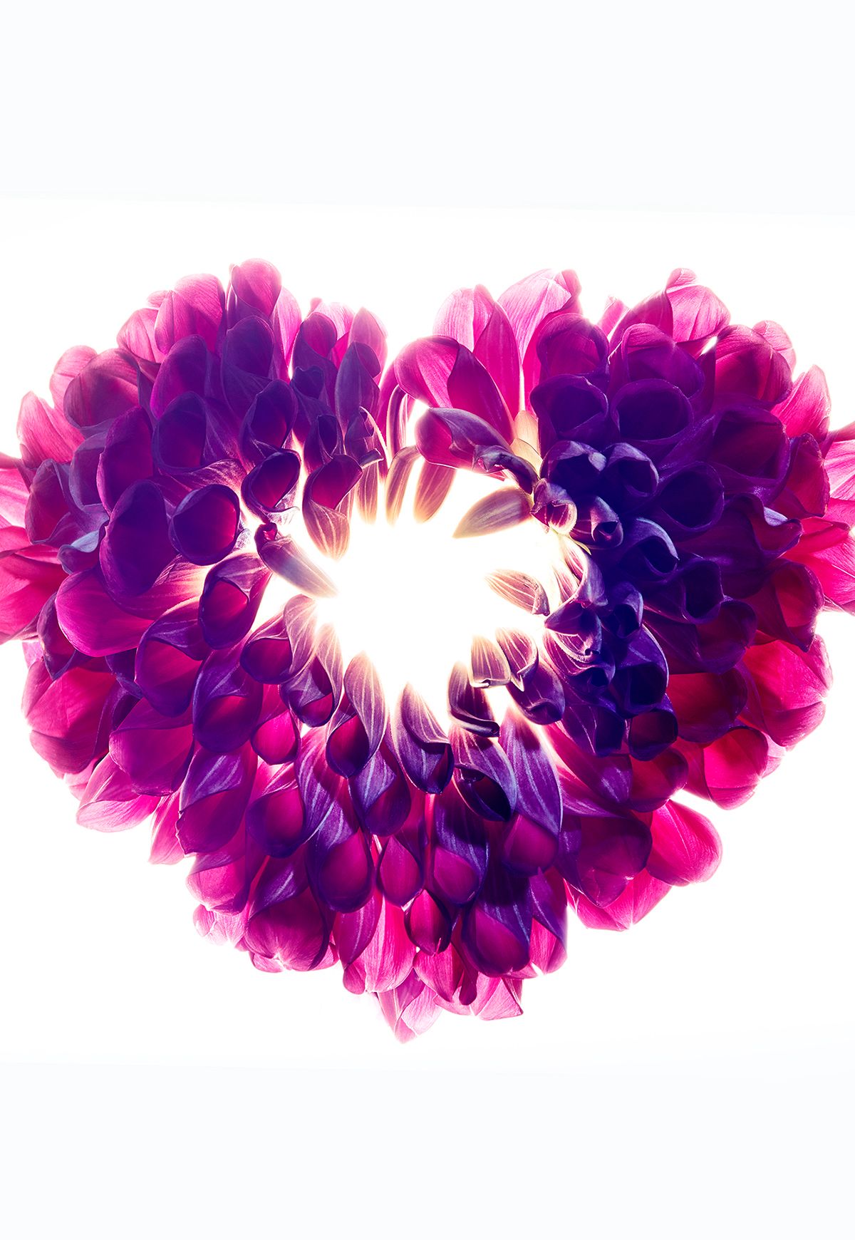 2GTQbgiNxerRffr5gcT6hkjr8dsnb6NBTxXMi2obS-10 copy.jpg