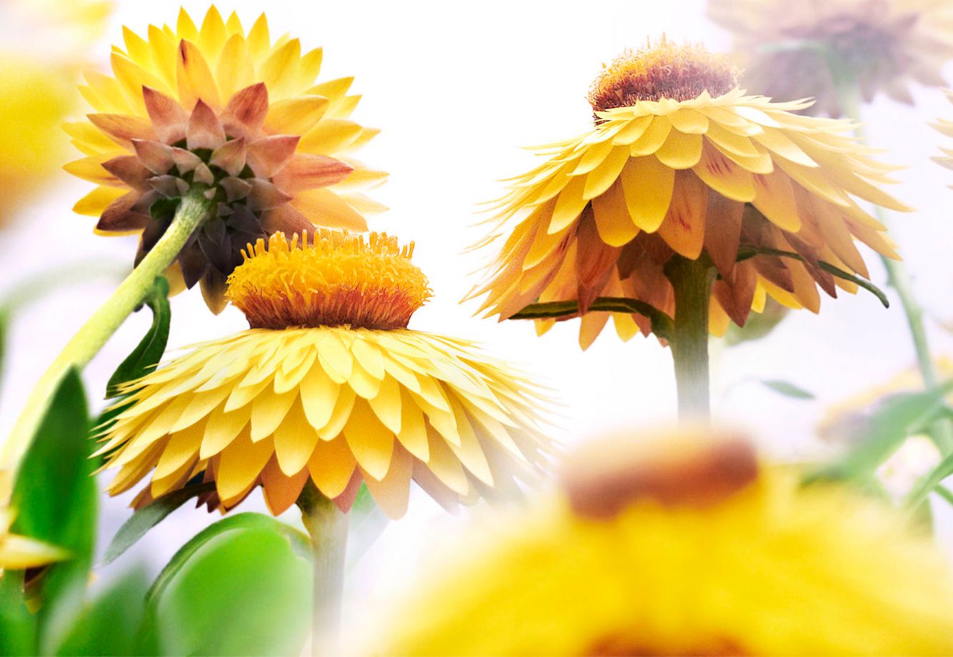 2GTQbgiNxerRr5gcfrgT6hkjr8dsnb6NBTxXMi2obS-6 copy.jpg