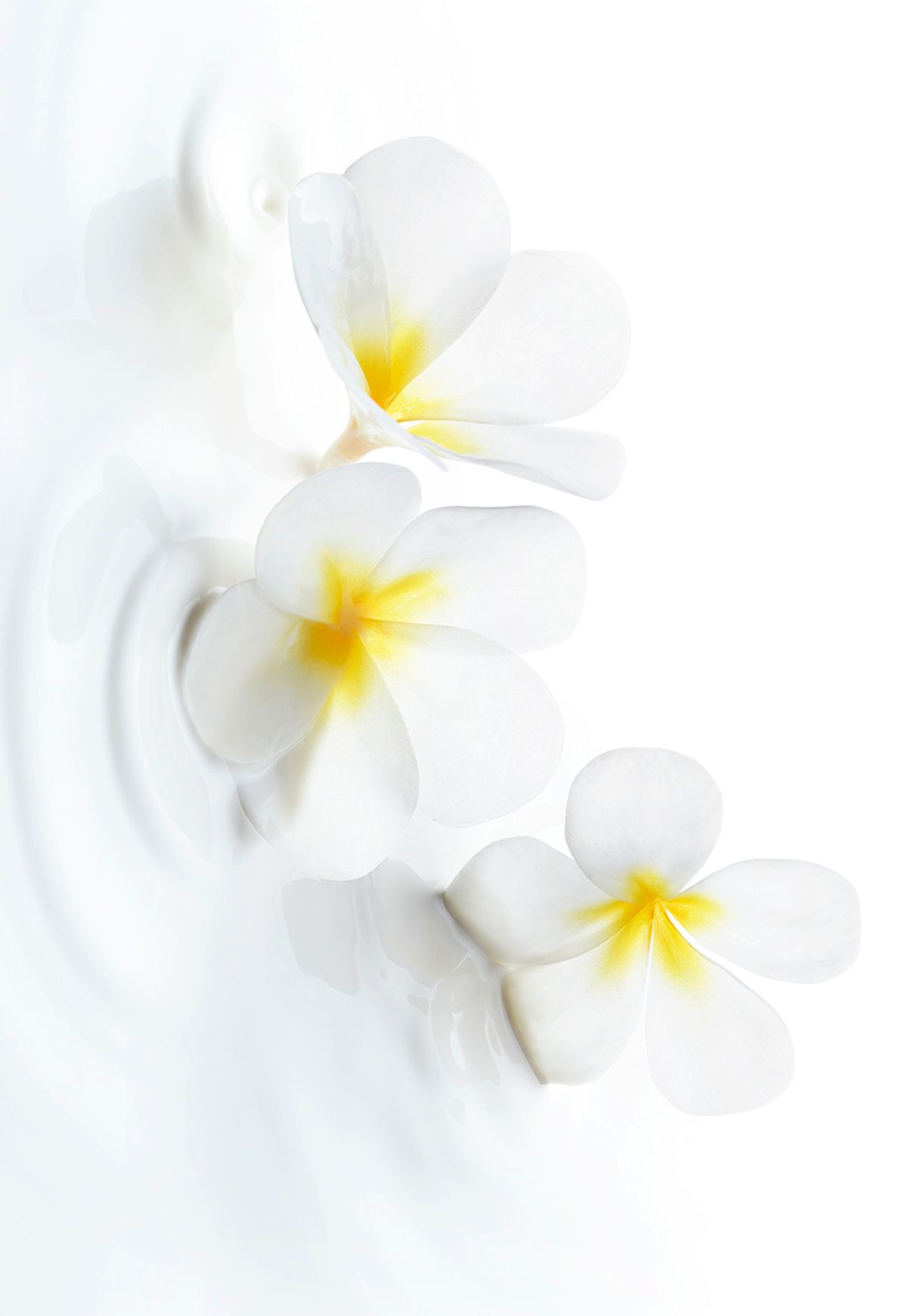 2GTQbgiNxerRdhtr5gcT6hkjr8dsnb6NBTxXMi2obS-1 copy.jpg