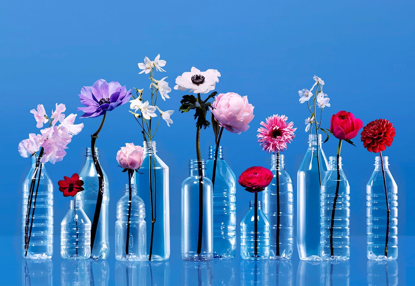 2GTQbgiNxerdgRr5gcT6hkjegfr8dsnb6NBTxXMi2obS-8 copy 2.jpg