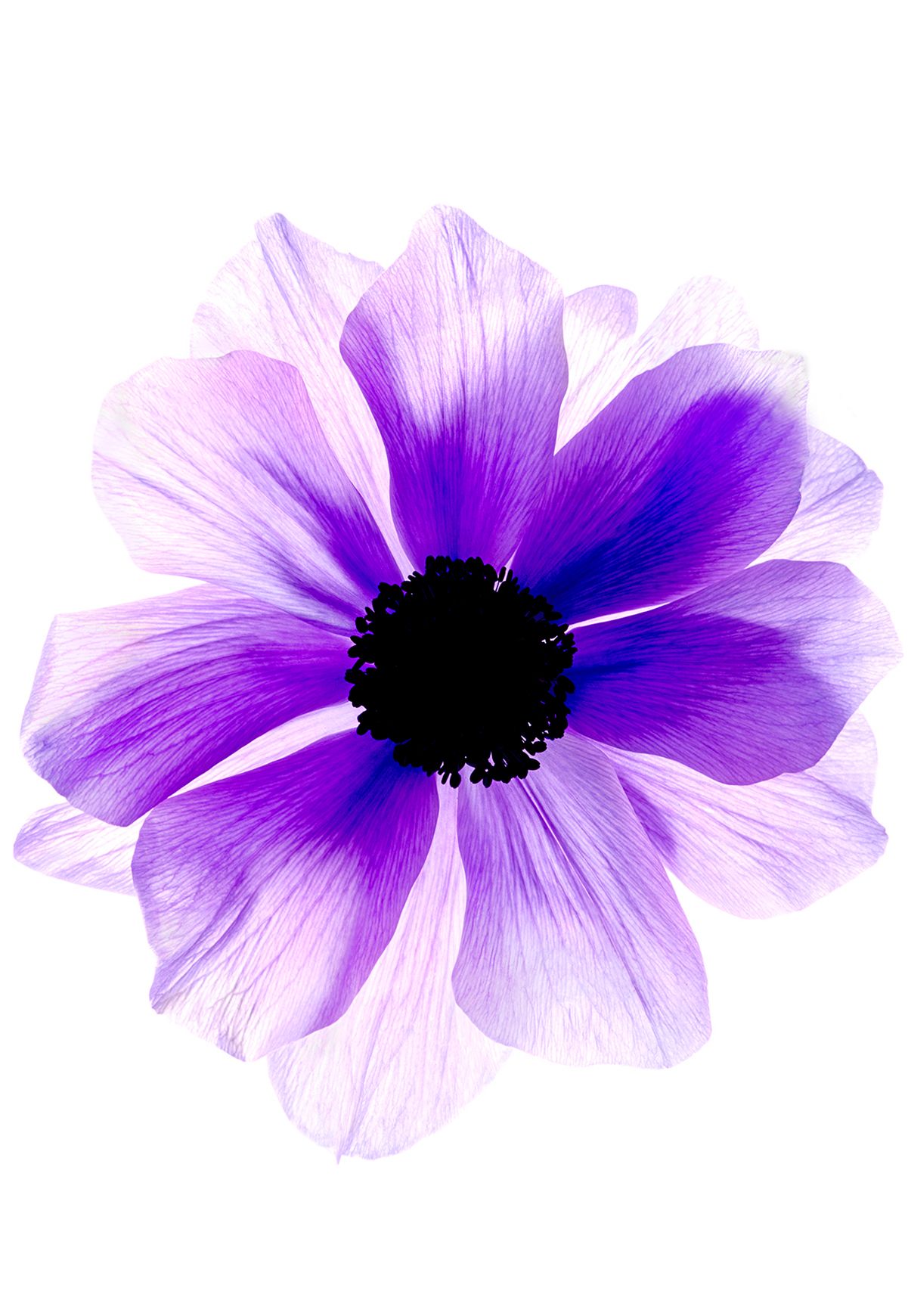 2GTQbgiNxerRr5gcT6hkjggr8dsnb6NBTxXMi2obS-4 copy.jpg