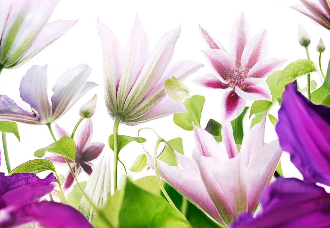 2GTQbgiNxerRr5gcT6hkjr8ffdsnb6NBTxXMi2obS-1 copy.jpg