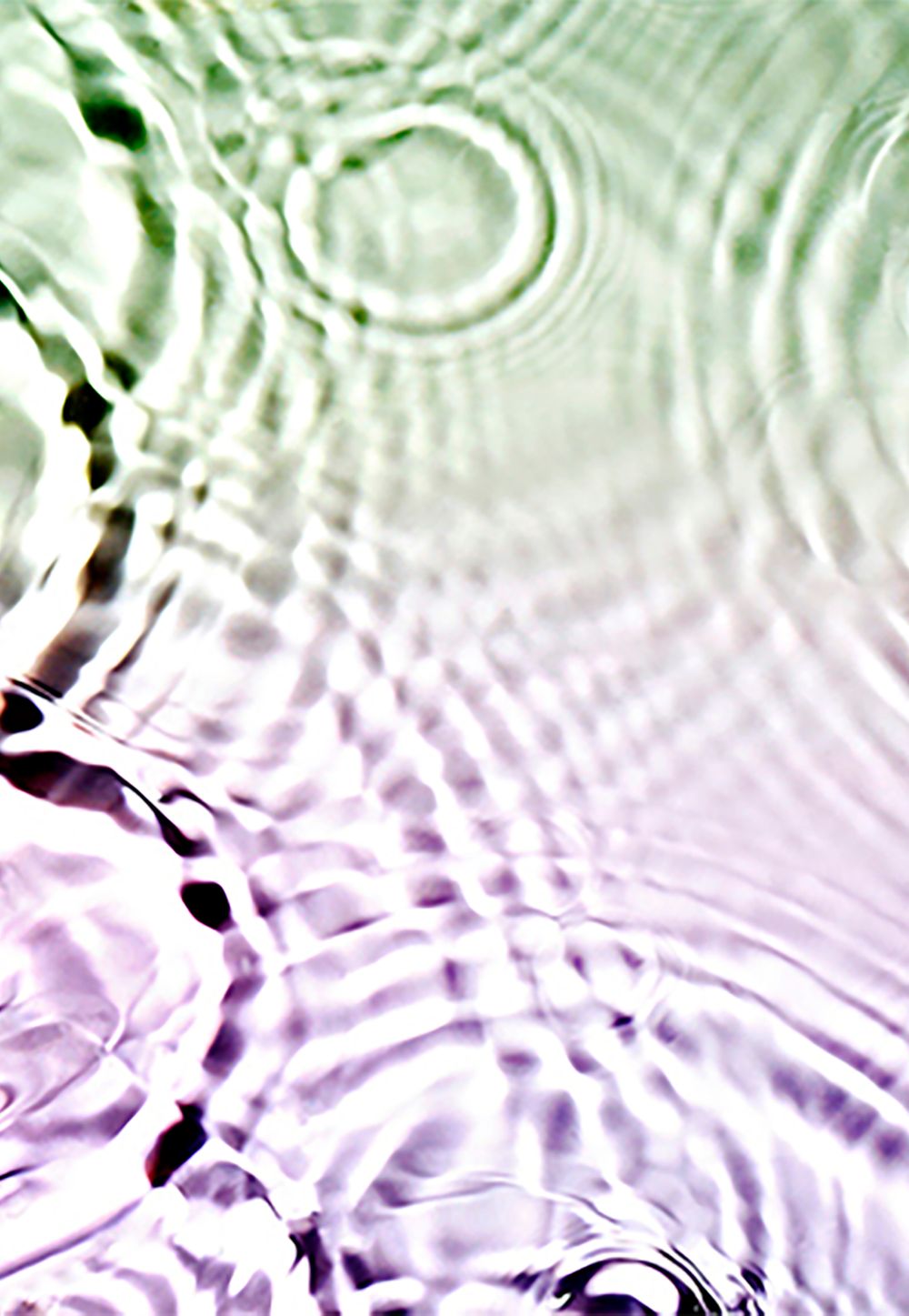 2GTQbgiNxerRr5gcT6hkjr8dsnb6NBTxXMi2obS copy.jpg