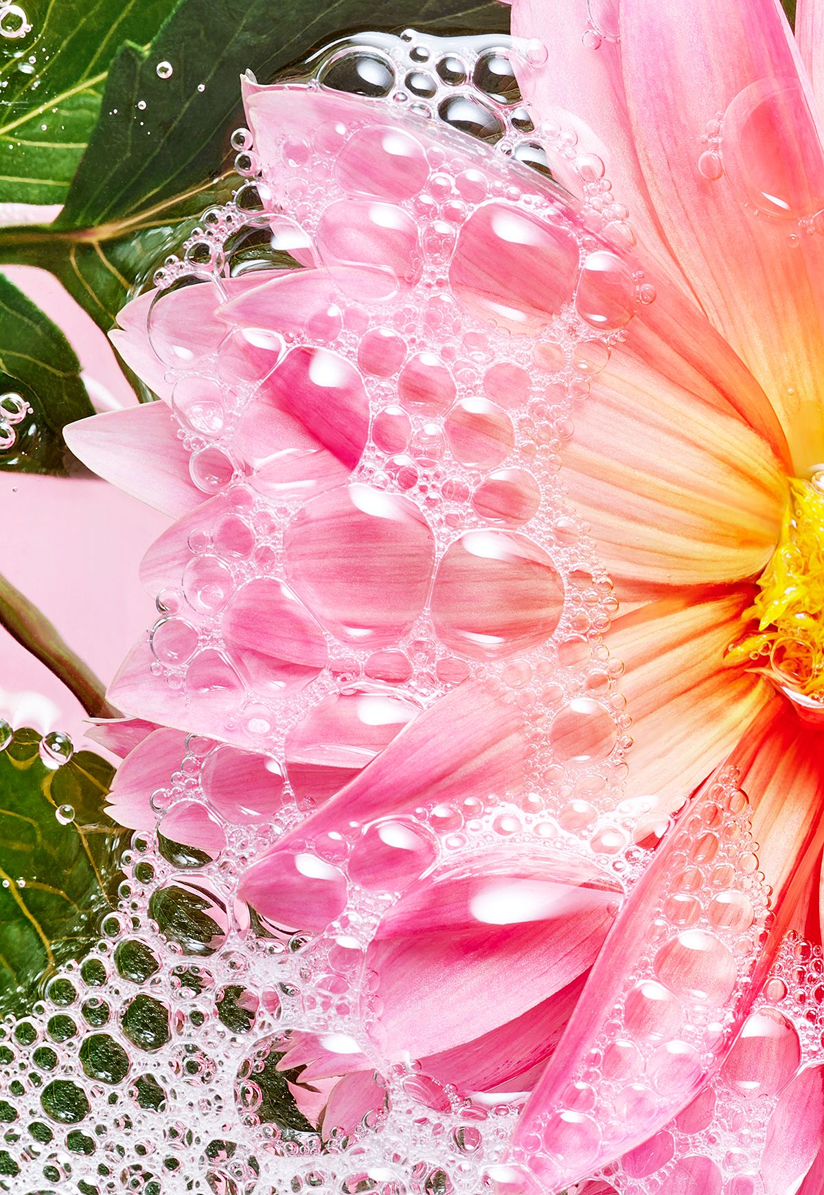 Ingredients_bubbles_24118319 copy.jpg