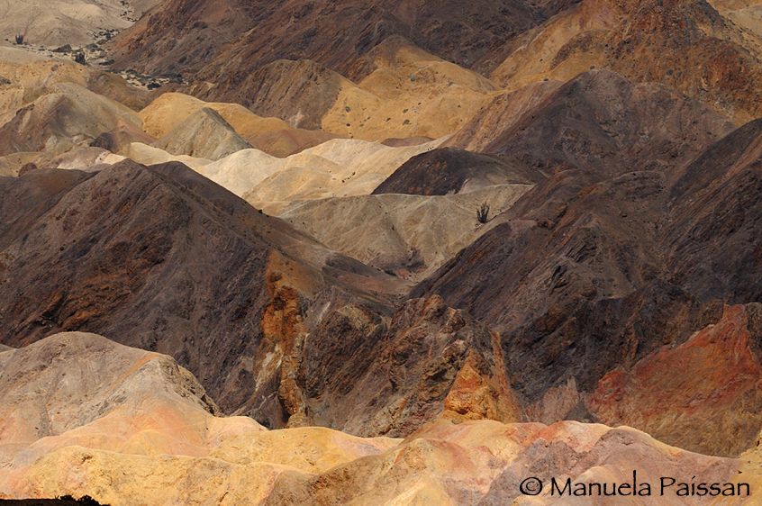 Nikon D300lens Nikon AF-S 300/4 IF-EDParque Nacional Pan de Azucar - Chile Colori del deserto