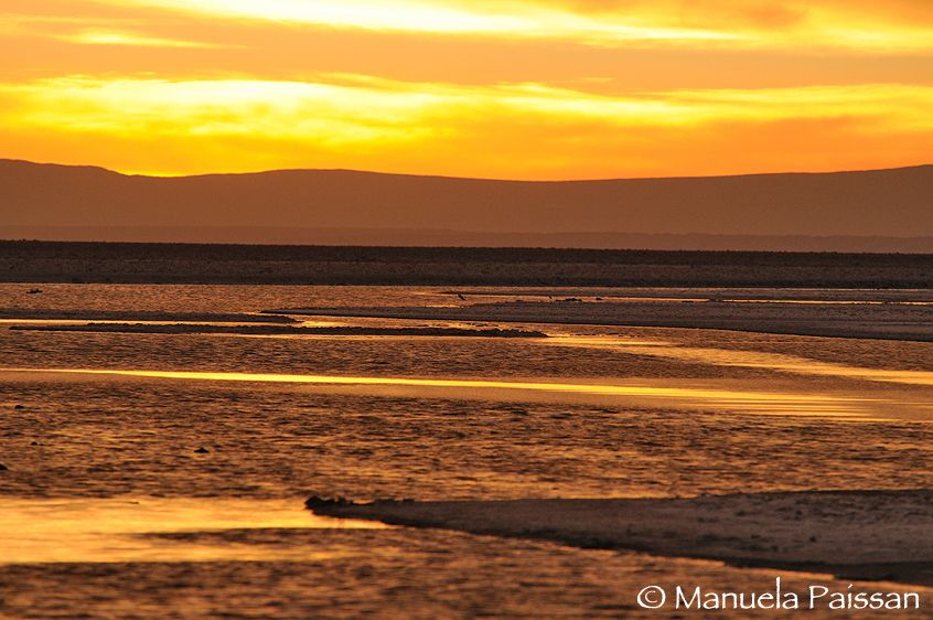 Nikon D300lens Nikon AF-S VR 70-200/2.8 G IF-EDLaguna Chaxa - Chile Tramonto a Laguna Chaxa