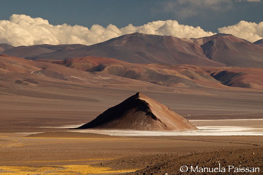 Nikon D300 lens Nikon AF-S VR 70-200/2.8 IF-EDSalar de Maricunga - Chile Salar de Maricunga