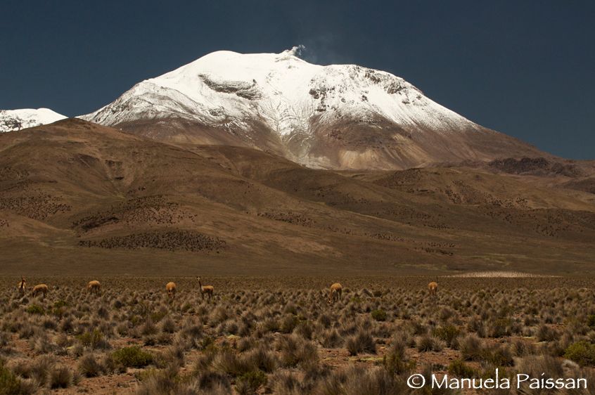 Nikon D300lens Nikon AF-S VR 70-200/2.8 IF-EDReserva National Las Vicugnas -Chile Vulcano Guallatire