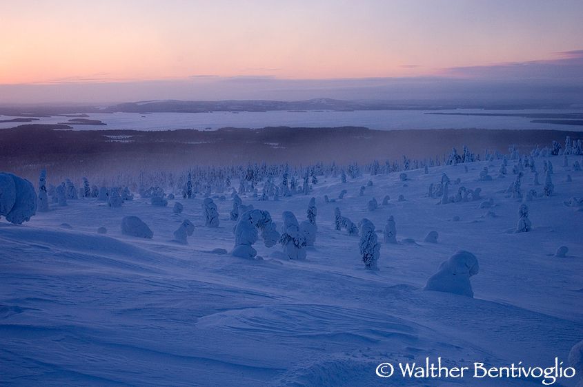 Alba da Riisi Tunturi