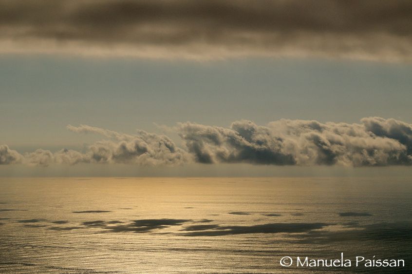 Nikon D300lens Nikon AF-S VR 70-200/2.8 G IF-EDParque Nacional Pan de Azucar - Chile Panorama sull'Oceano Pacifico