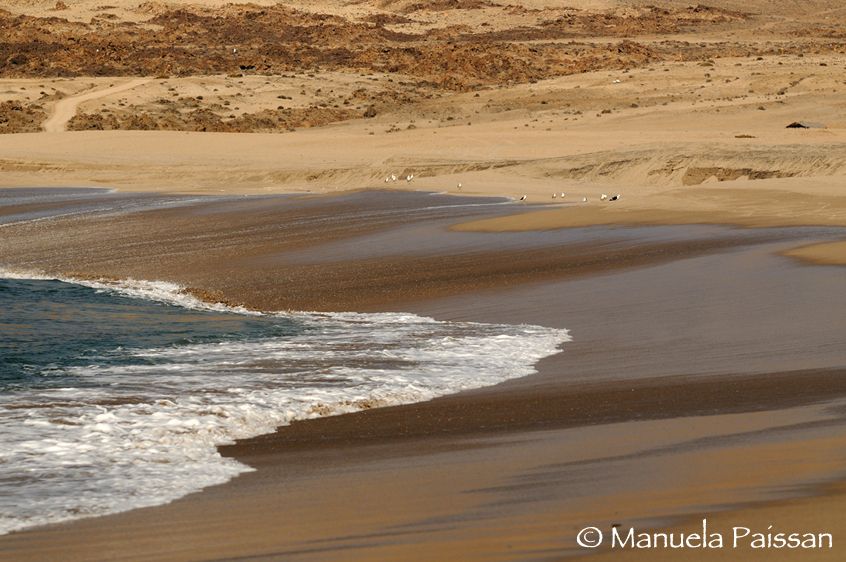 Spiaggia