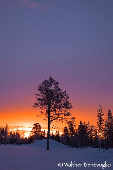 Luci dell'alba (Kuusamo)