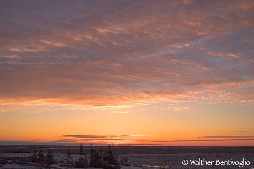 Tramonto sulla tundra