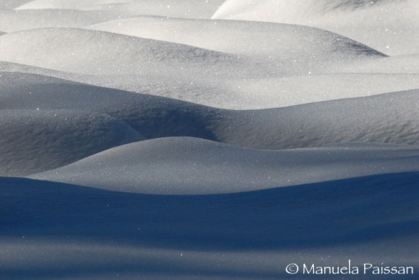 Nikon D200lens Nikon AF-S 300/4 IF-EDValle di Non (TN) Neve