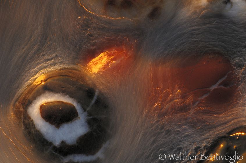 Nikon D2Xlens micro Nikon AF-D 200/4 IF-EDIsola di Rodi (Grecia) Ciottoli nella risacca