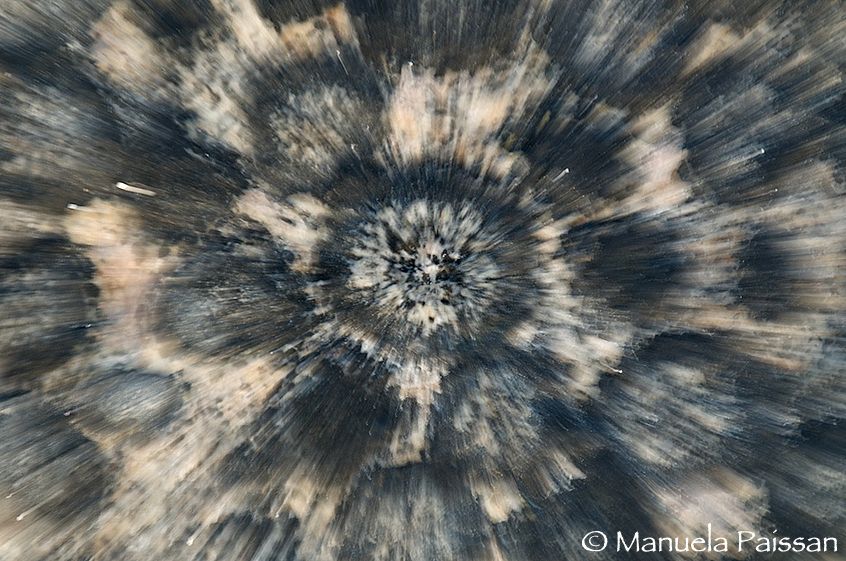 Nikon D300lens Nikon AF-S 70-200/2.8 VR IF-EDParco Nazionale Pan de Azucar - Chile Granito orbicolare