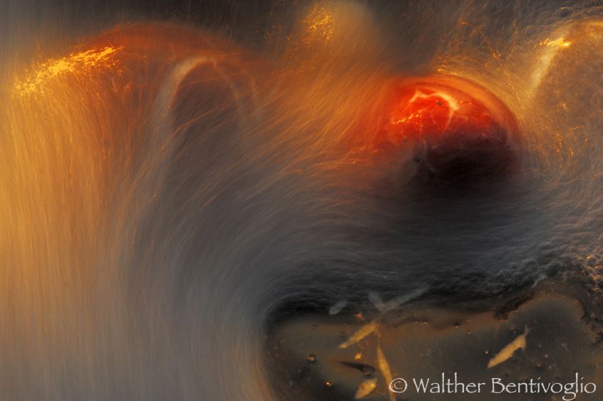 Nikon D2Xlens micro Nikon AF-D 200/4 IF-EDIsola di Rodi (Grecia) ciottoli nella risacca