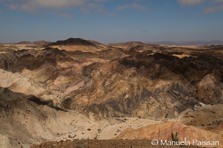 Nikon D300lens Nikon AF-S 14-24/2.8 G EDParque Nacional Pan de Azucar - Chile Pan de Azucar